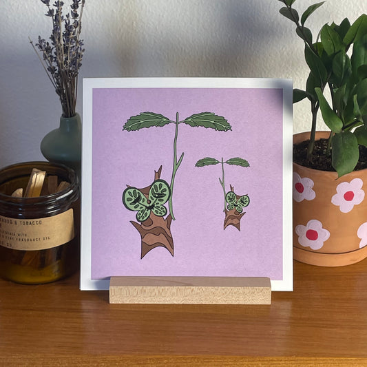 Korok 8x8" Fine Art Zelda Print
